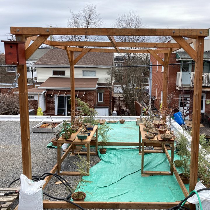 bonsai bench